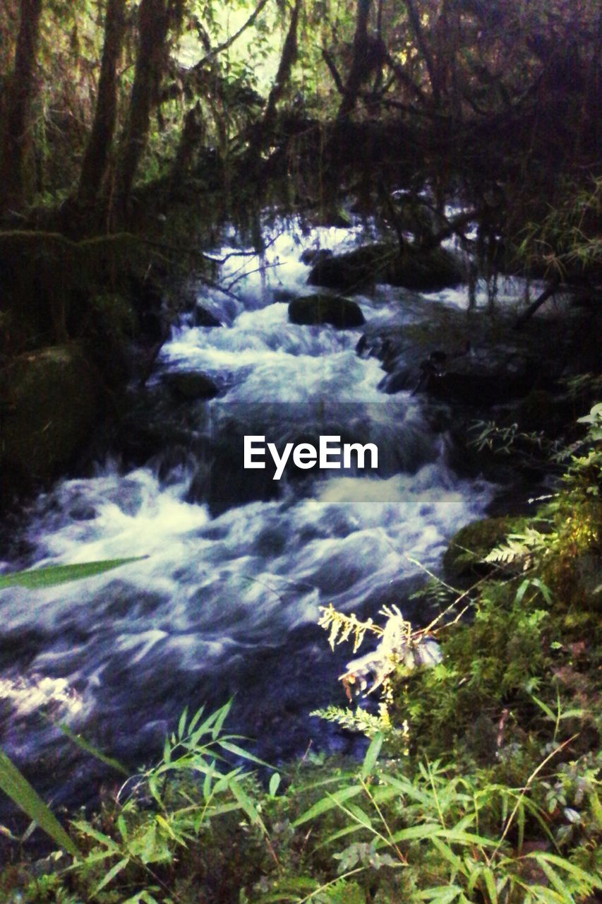 STREAM FLOWING THROUGH ROCKS