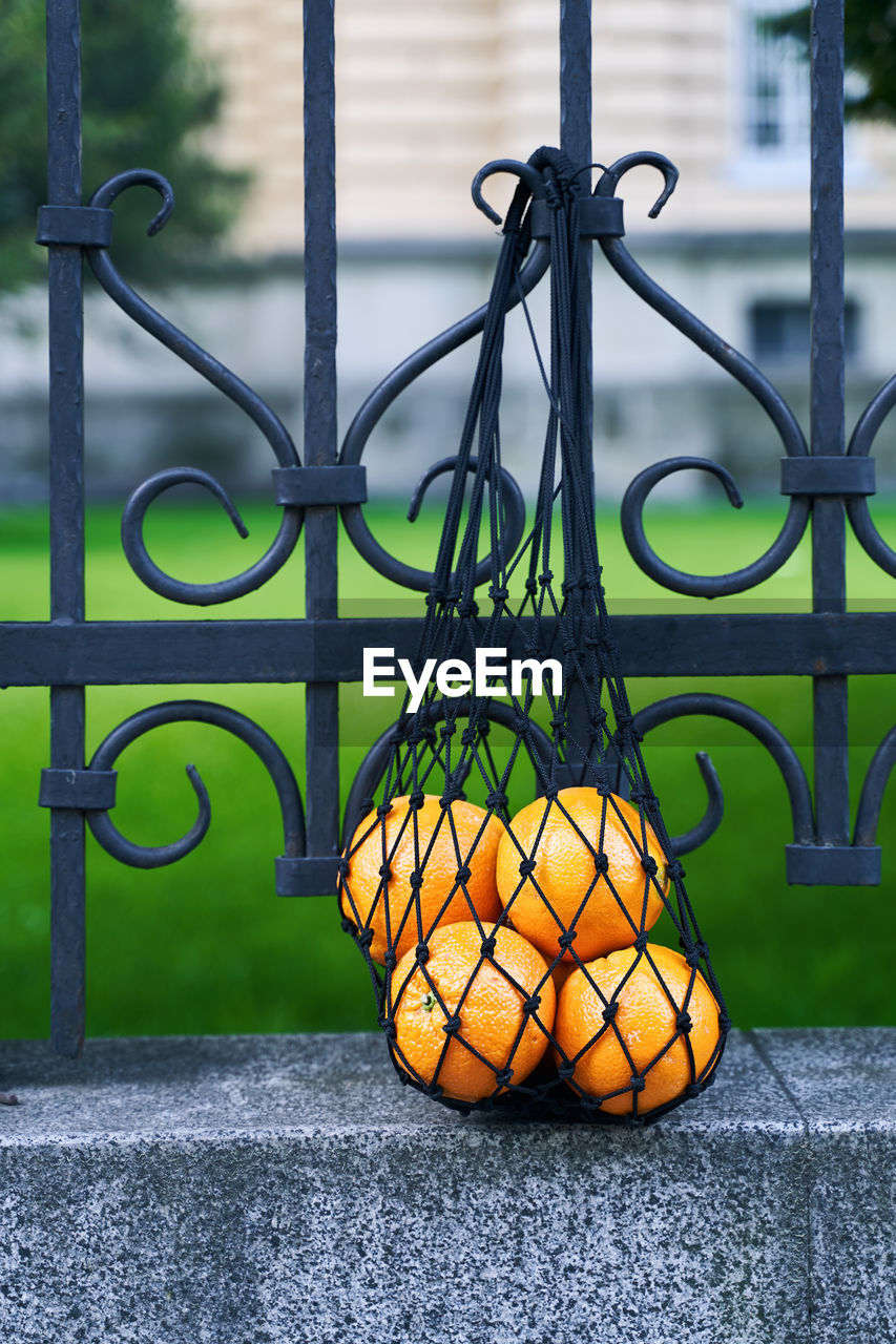 close-up of christmas decorations hanging on chainlink fence