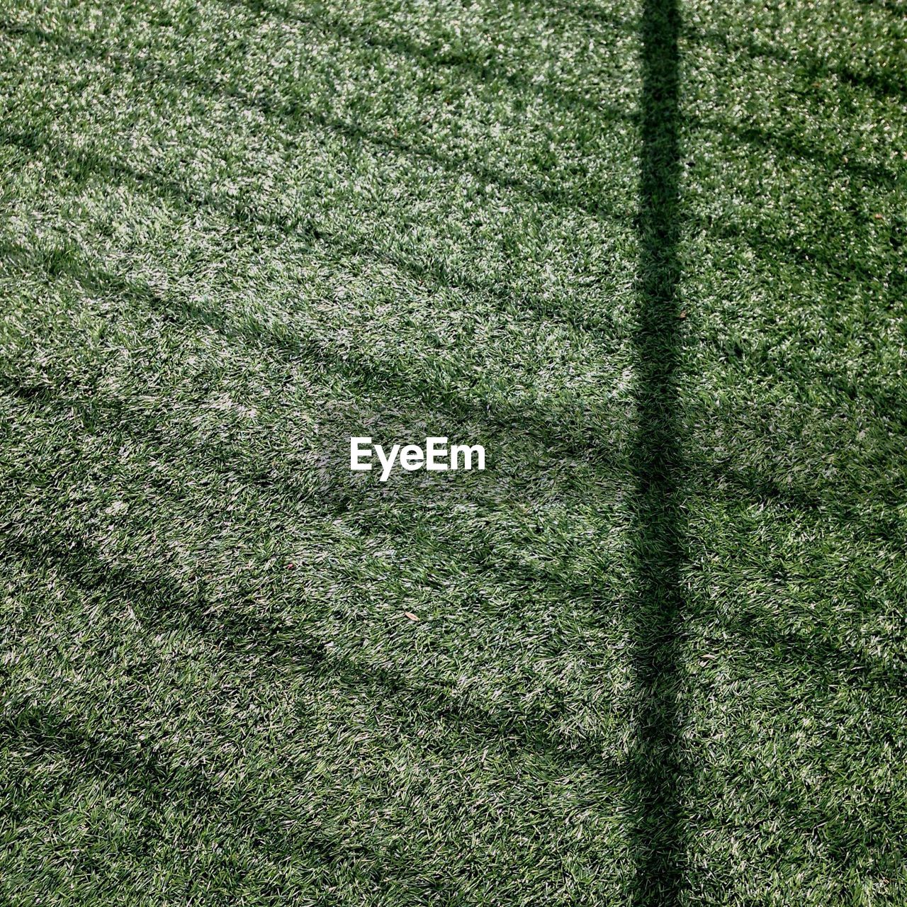 FULL FRAME OF FIELD