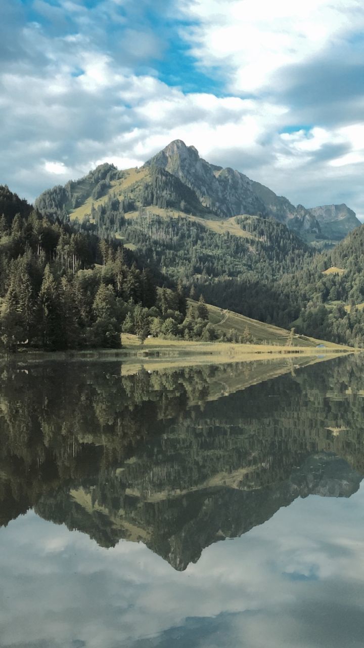 Reflection of tree mountains on calm lake