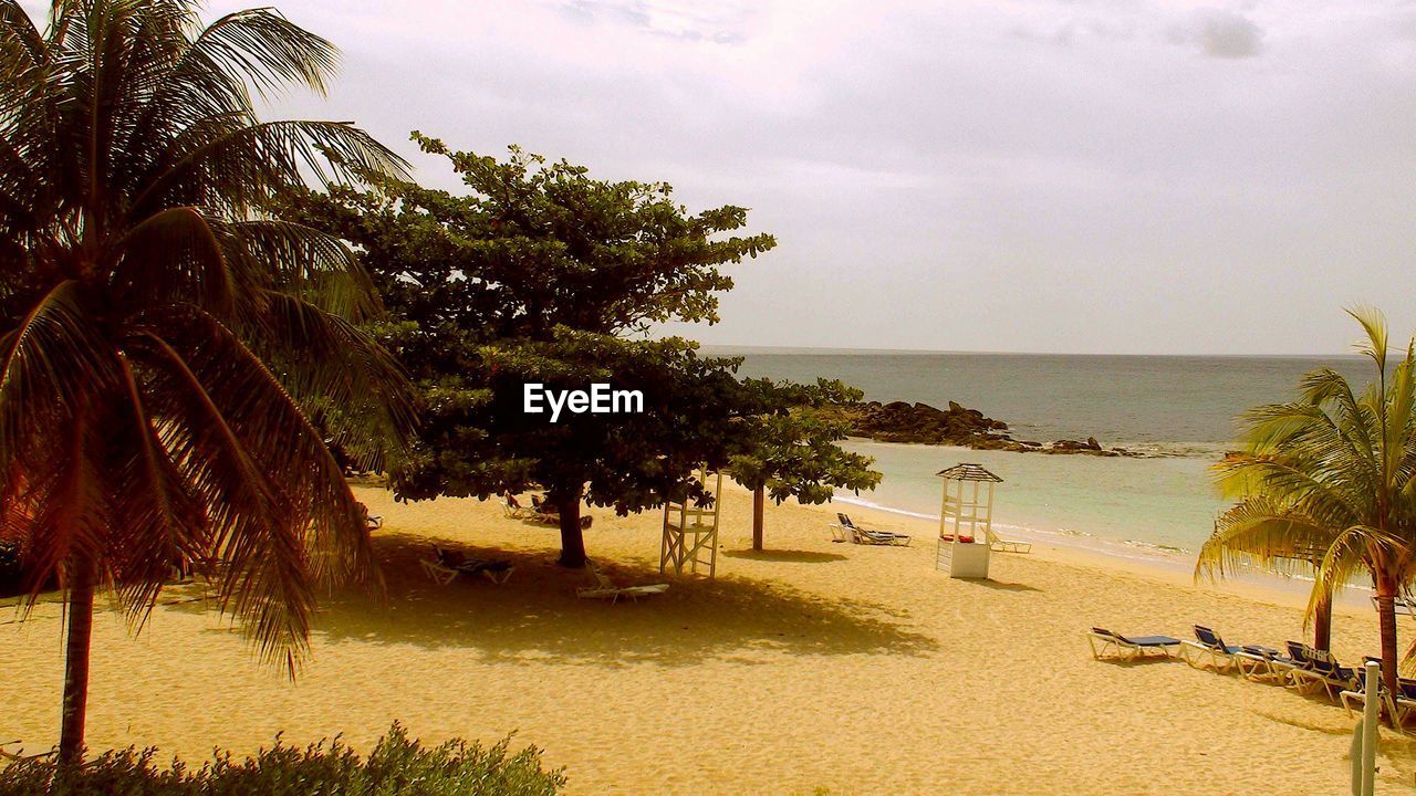 PALM TREE ON BEACH AGAINST SKY