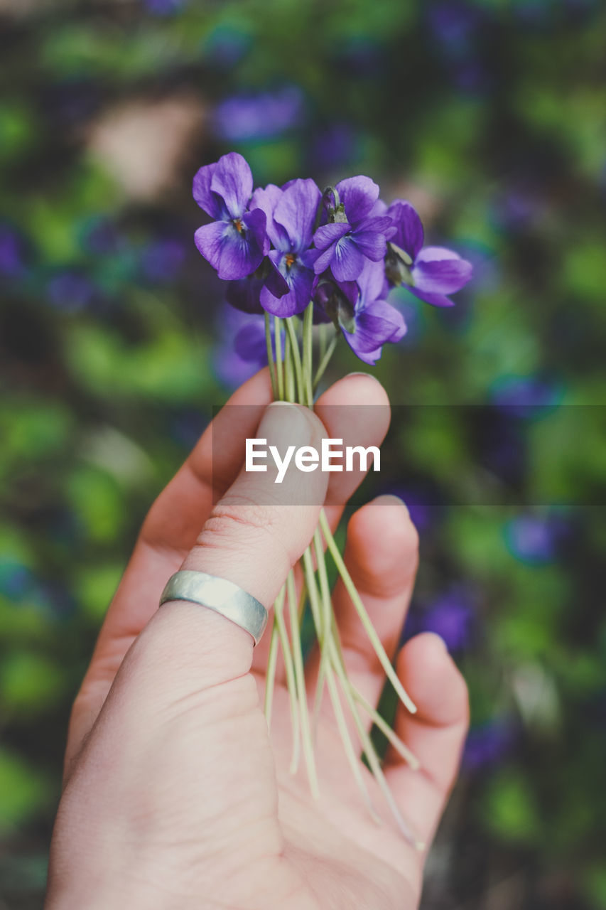 Close up tiny purple flowers concept photo