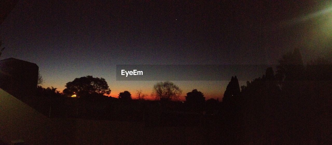 SILHOUETTE TREES AT SUNSET