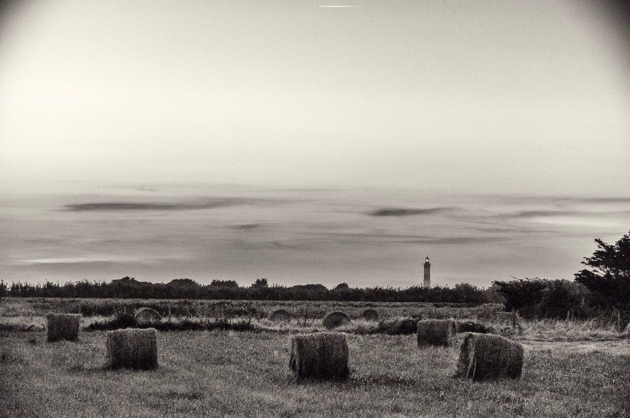 Hay bales on landscape against calm sea