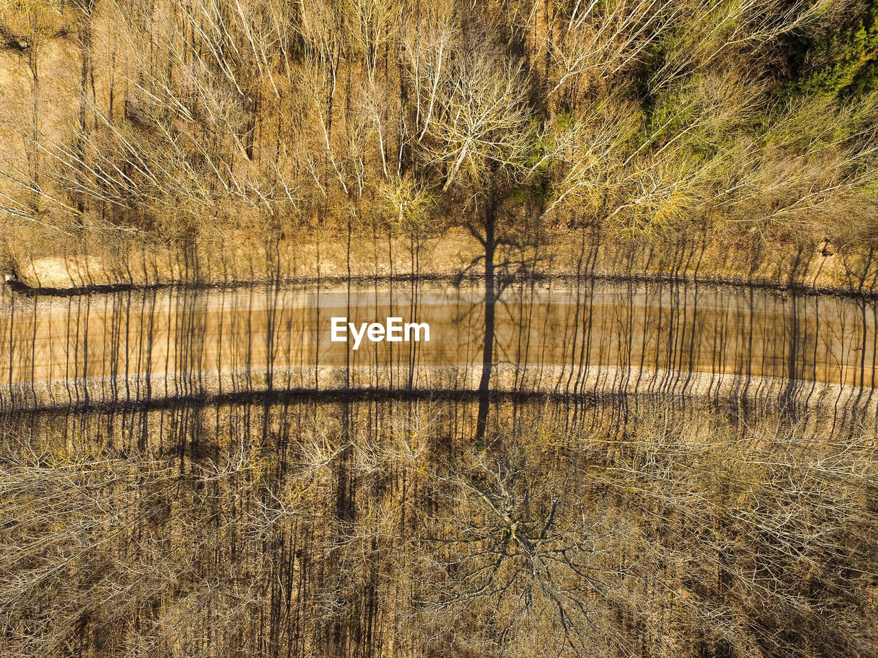 SCENIC VIEW OF DRY GRASS ON FIELD BY LAKE