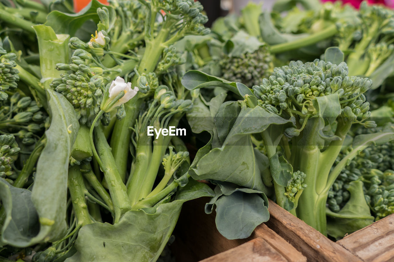 CLOSE-UP OF VEGETABLES FOR SALE