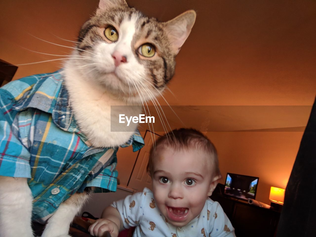 Portrait of cute boy with cat at home