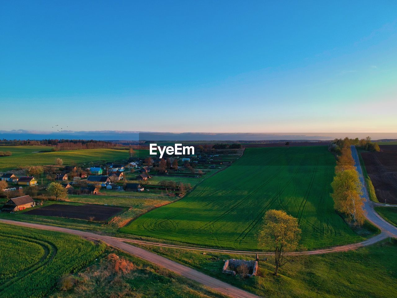 Scenic view of agricultural field against clear sky