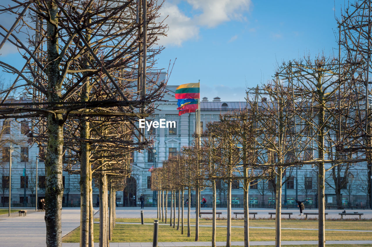 BARE TREES AND BUILDINGS AGAINST SKY