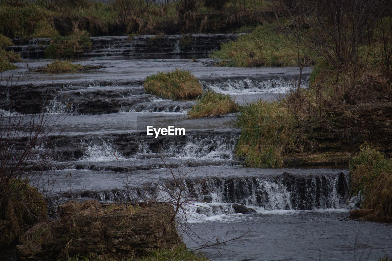 SCENIC VIEW OF RIVER FLOWING THROUGH FOREST