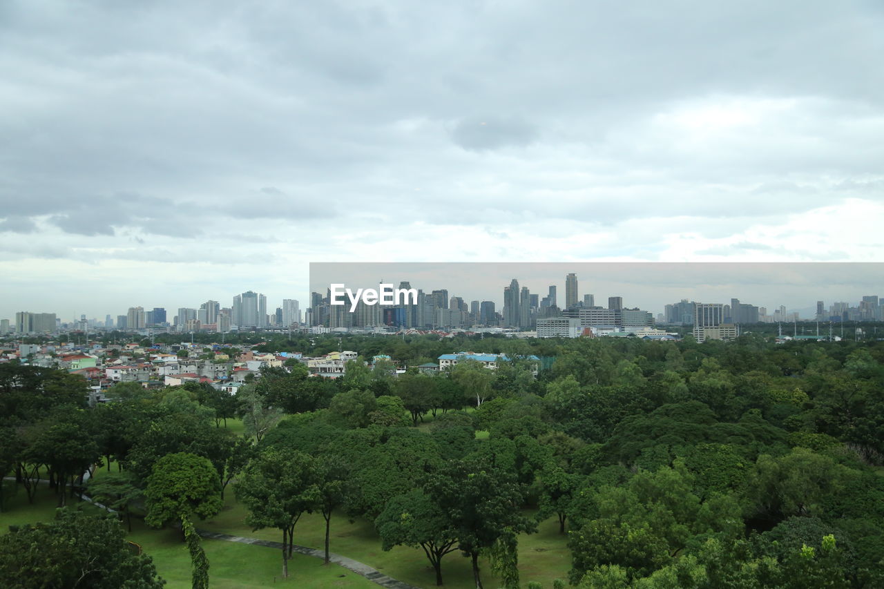 TREES AND BUILDINGS IN CITY