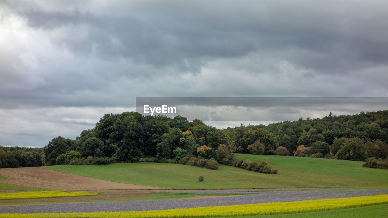 SCENIC VIEW OF TREES ON LANDSCAPE AGAINST SKY