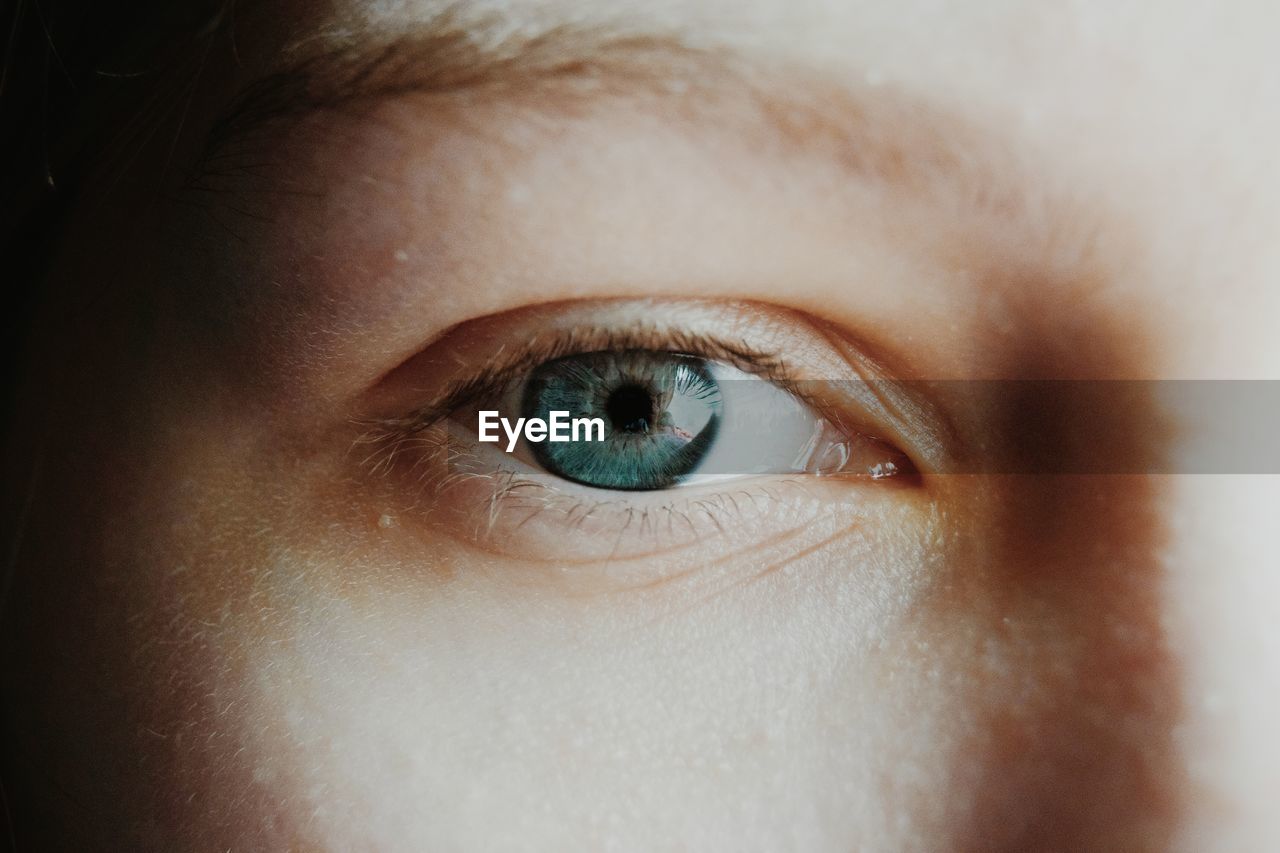 CLOSE-UP PORTRAIT OF YOUNG WOMAN EYE