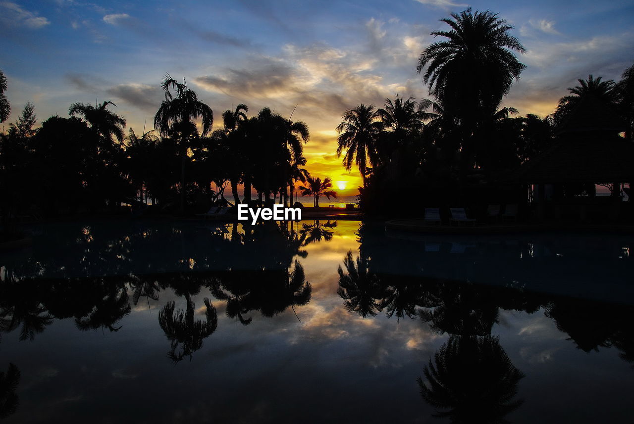 REFLECTION OF SILHOUETTE TREES IN SWIMMING POOL AGAINST SKY