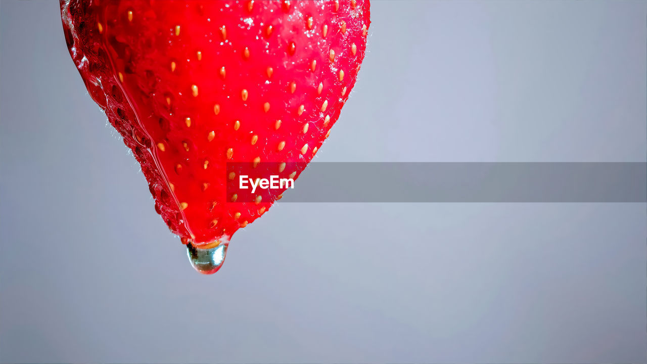 red, balloon, mid-air, macro photography, studio shot, pink, no people, petal, hot air balloon, indoors, flower, single object, copy space, celebration, heart shape, nature, close-up, water, positive emotion, emotion, hanging, drop