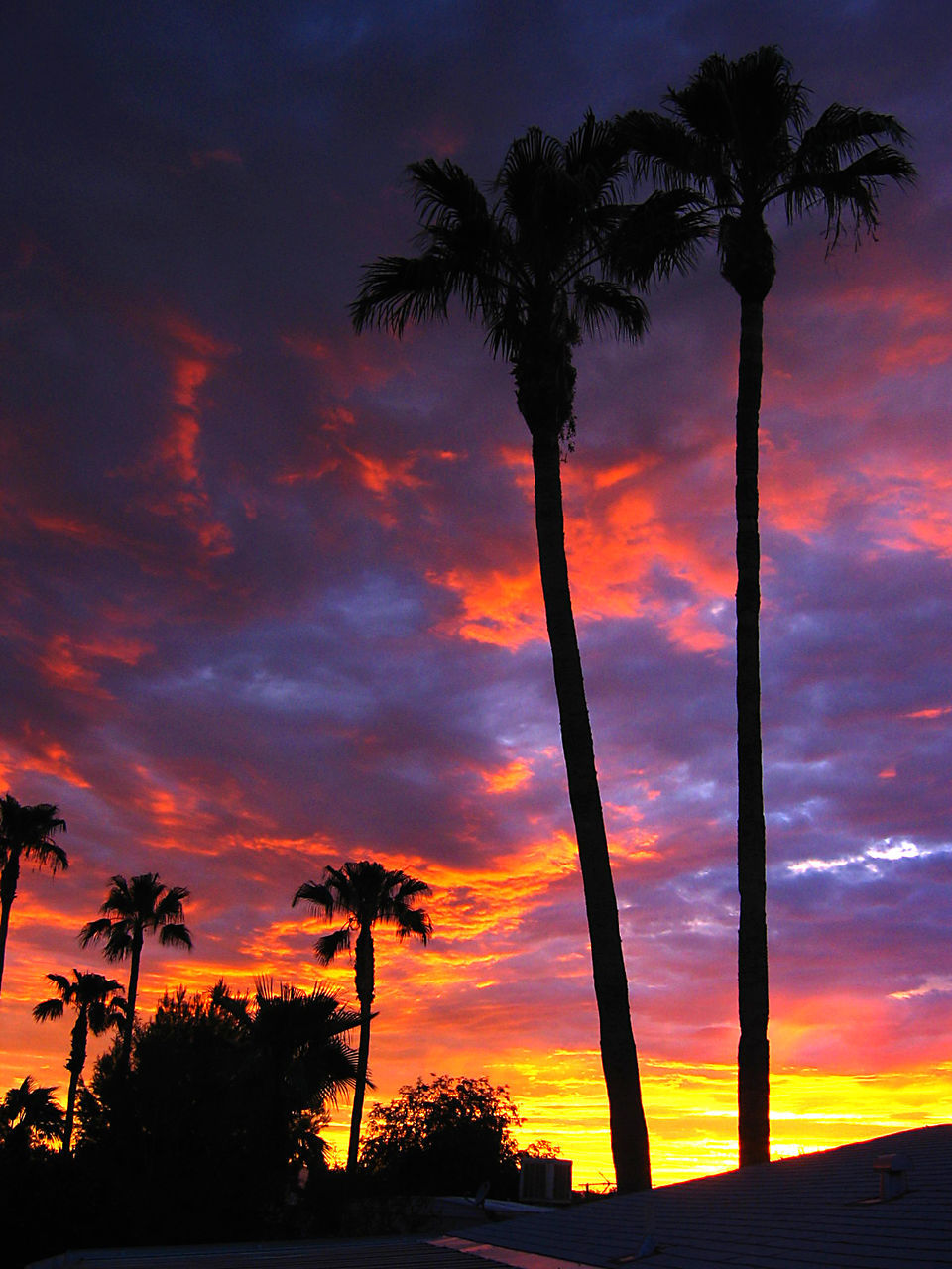 LOW ANGLE VIEW OF SILHOUETTE PALM TREES AGAINST SUNSET SKY