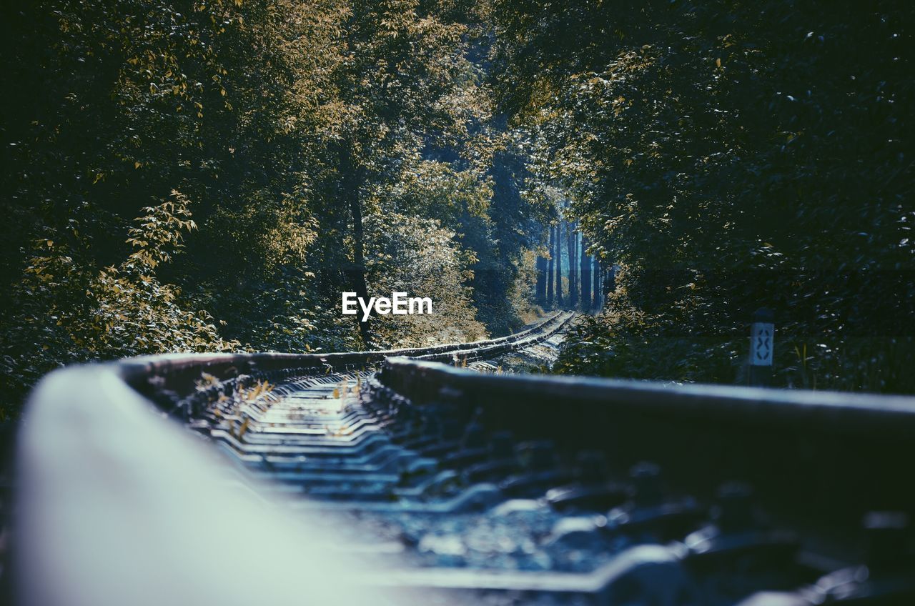 Railroad track amidst trees on field