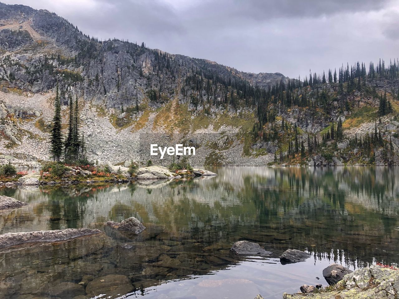 Scenic view of lake by trees against sky