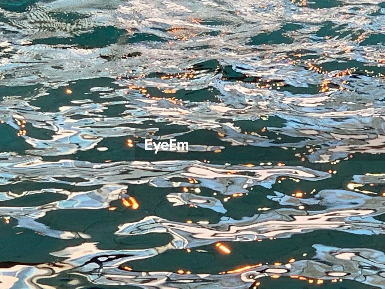 HIGH ANGLE VIEW OF LEAVES FLOATING IN WATER