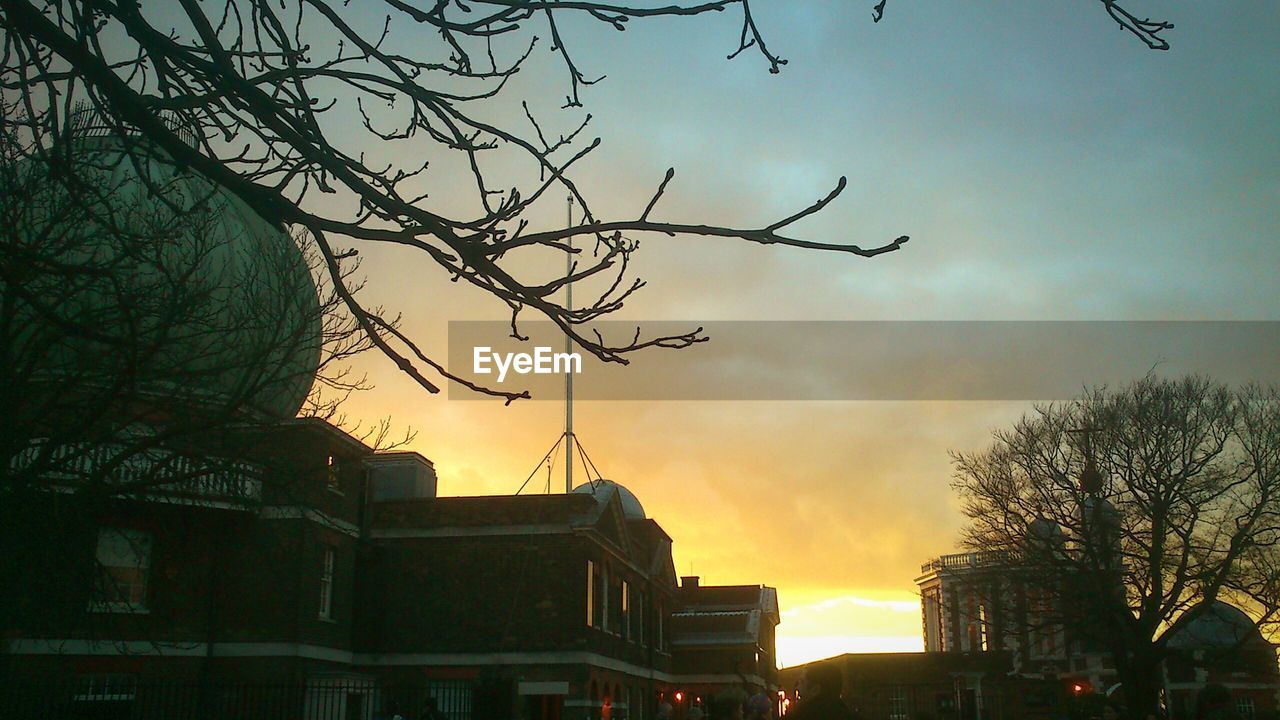 LOW ANGLE VIEW OF SILHOUETTE TREE AGAINST SKY AT SUNSET