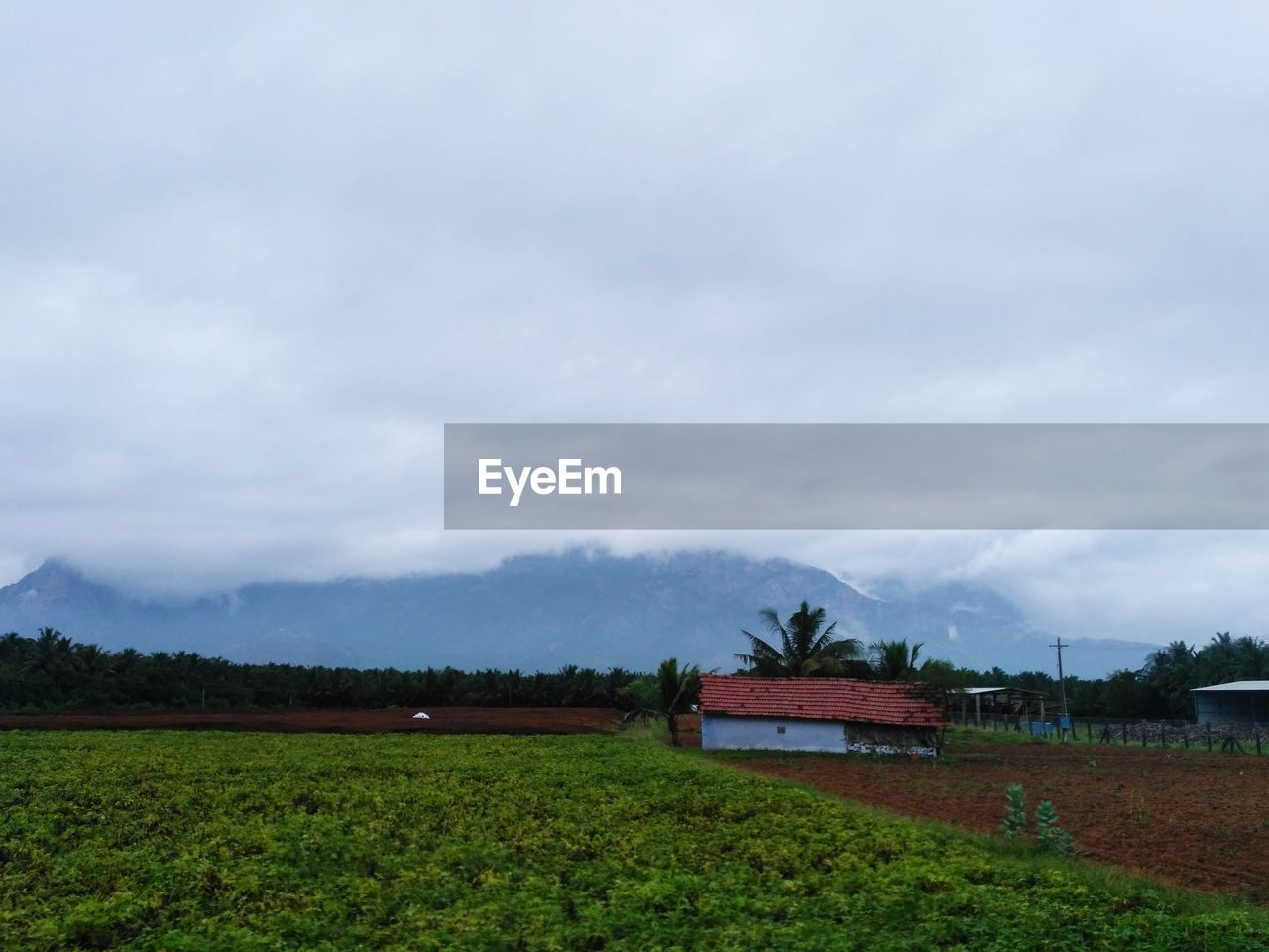 FIELD AGAINST SKY