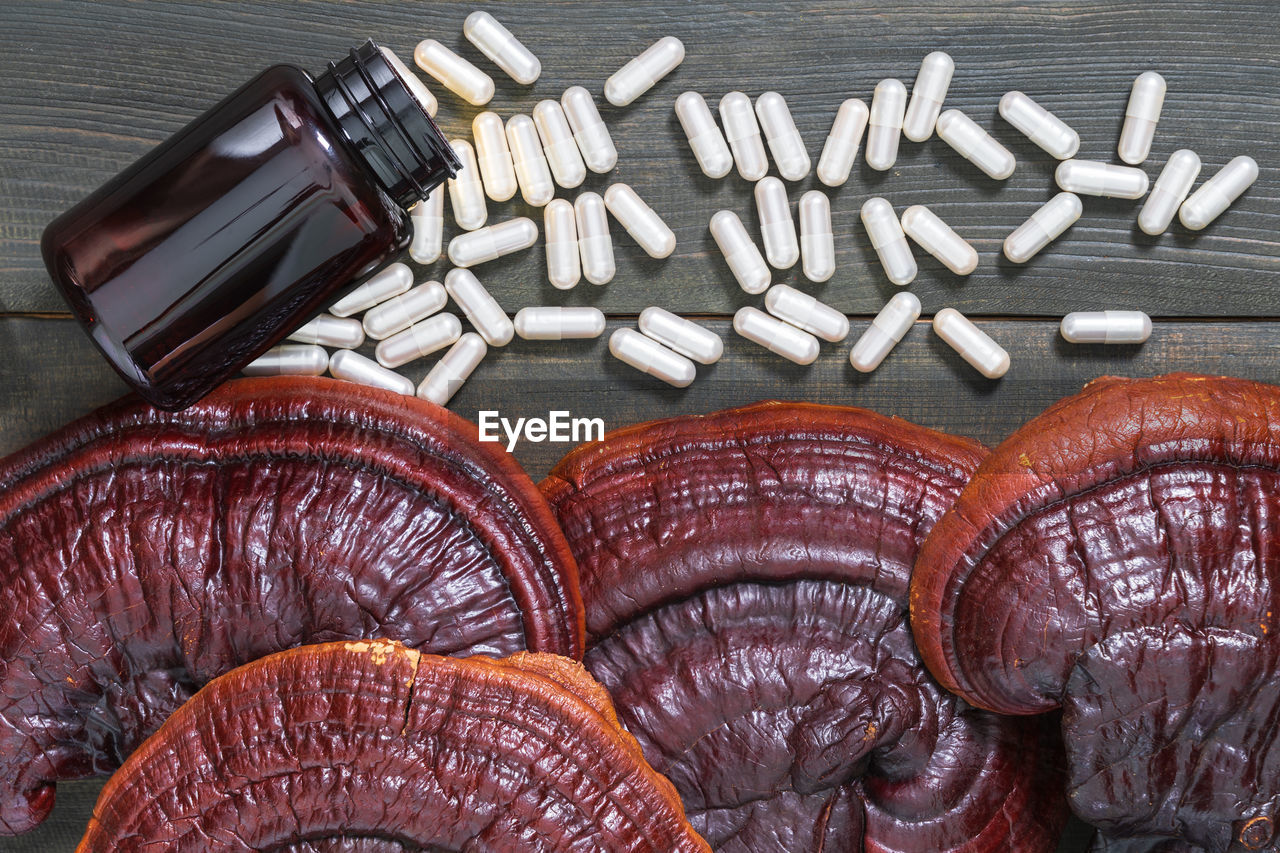 Close up of ling zhi mushroom, ganoderma lucidum mushroom and capsule with bottle mockup 