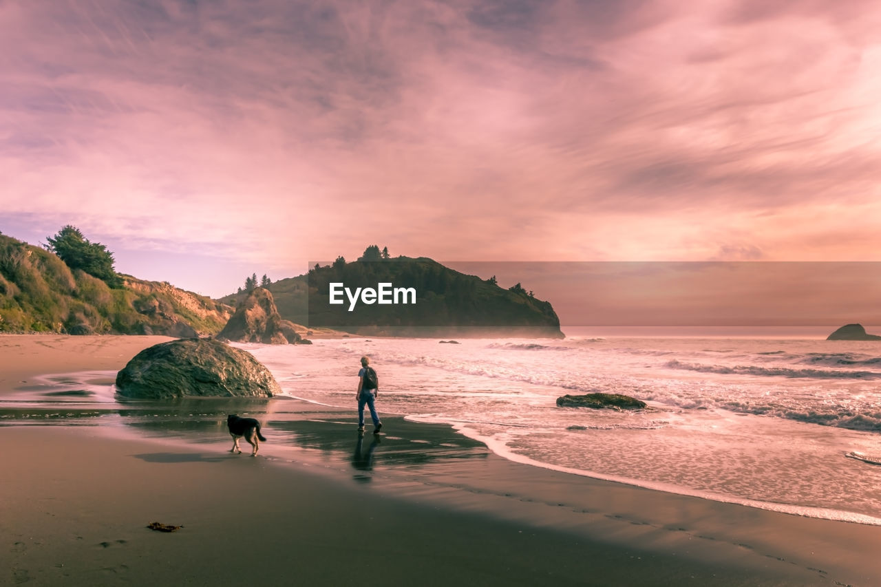 Scenic view of sea and a person walking a dog against sky during sunset in california 