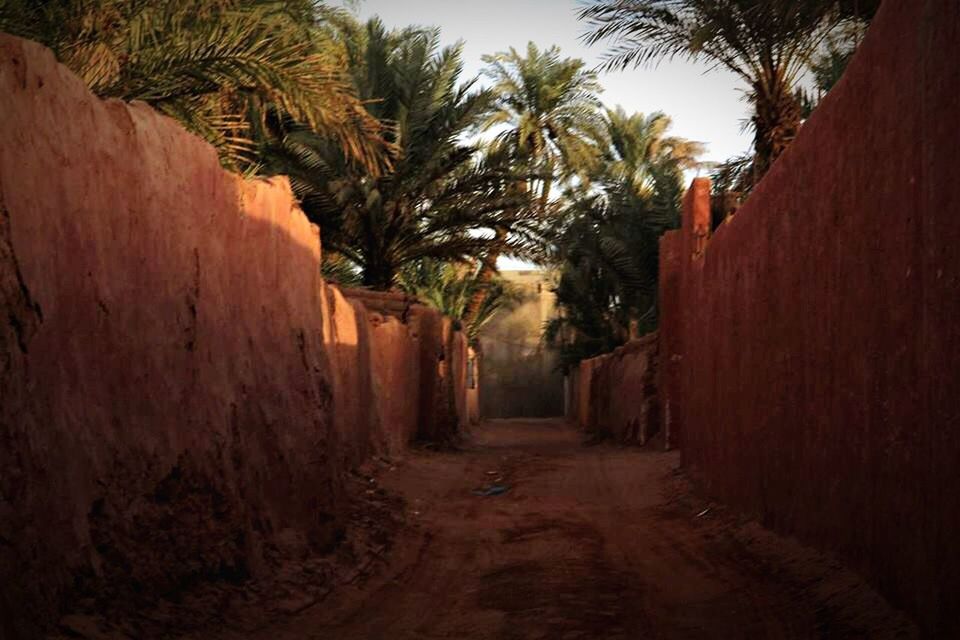 NARROW WALKWAY ALONG TREES