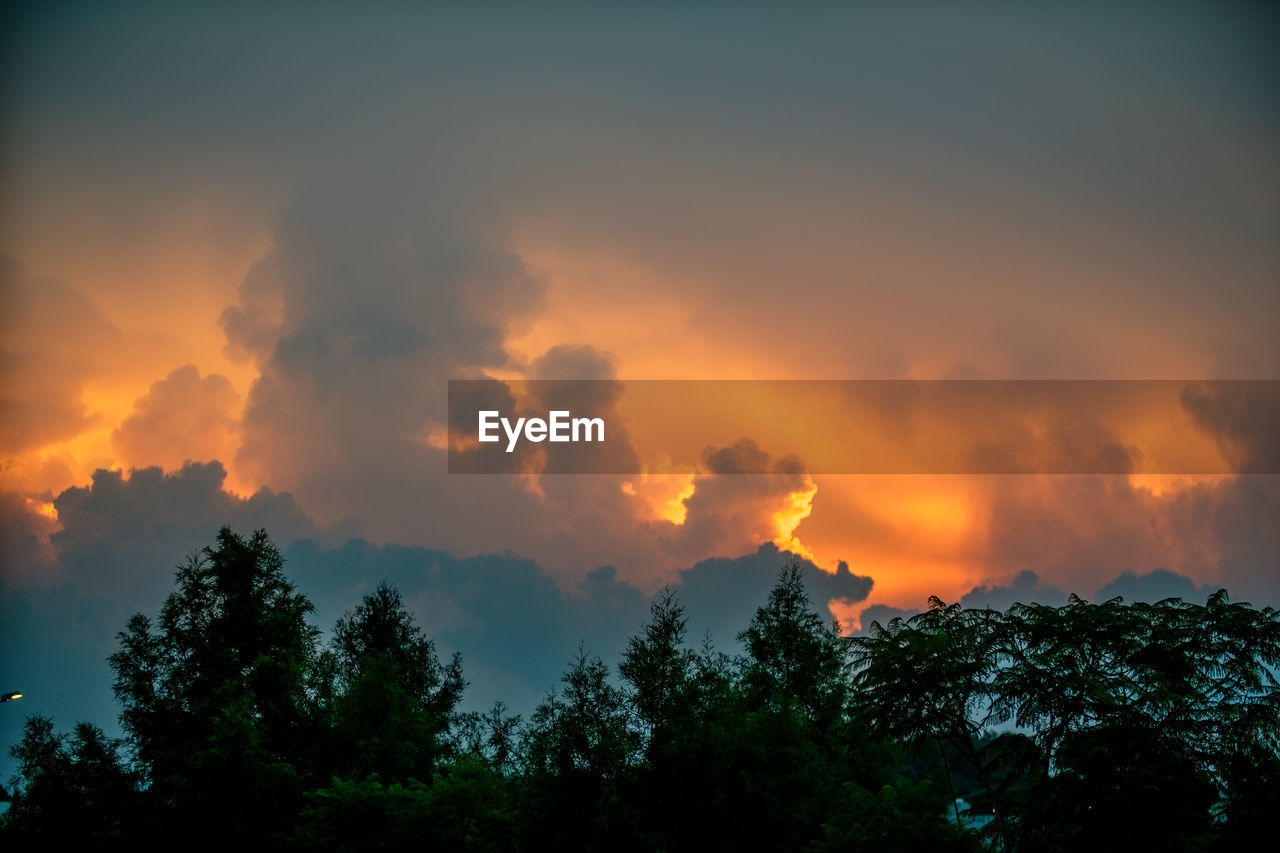 Silhouette trees against sky during sunset