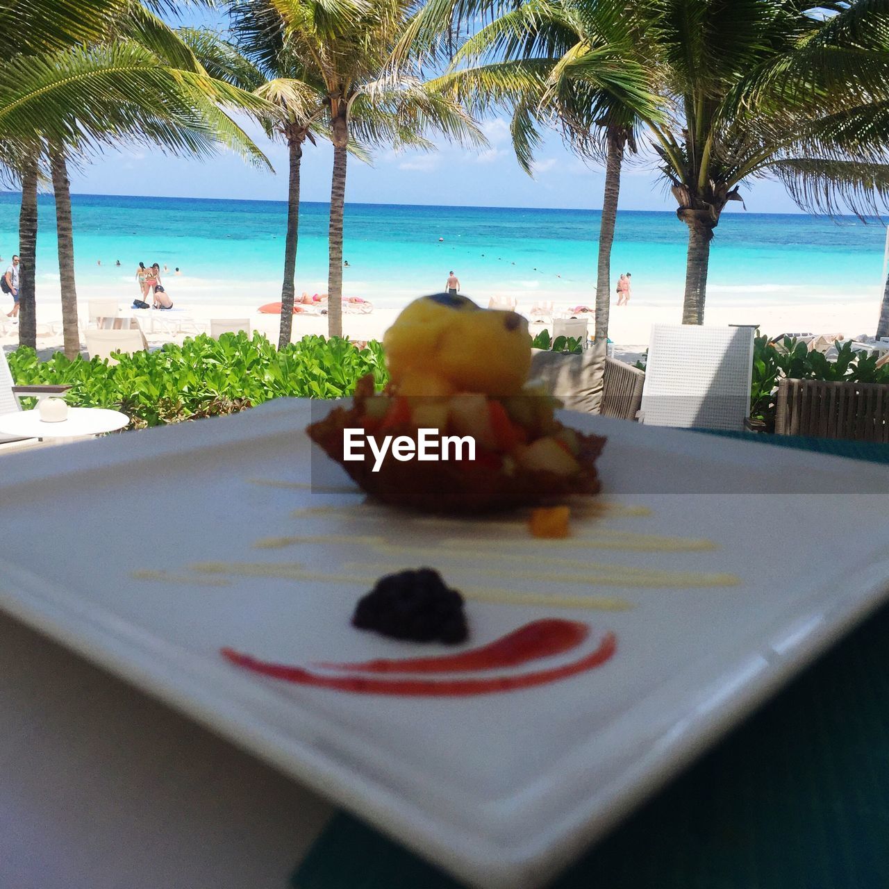 PALM TREE ON BEACH