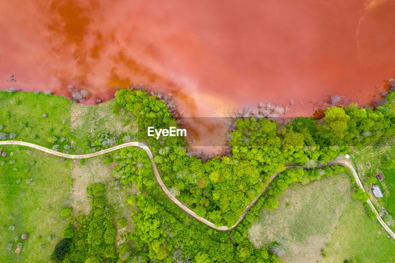 HIGH ANGLE VIEW OF ROAD BY TREES