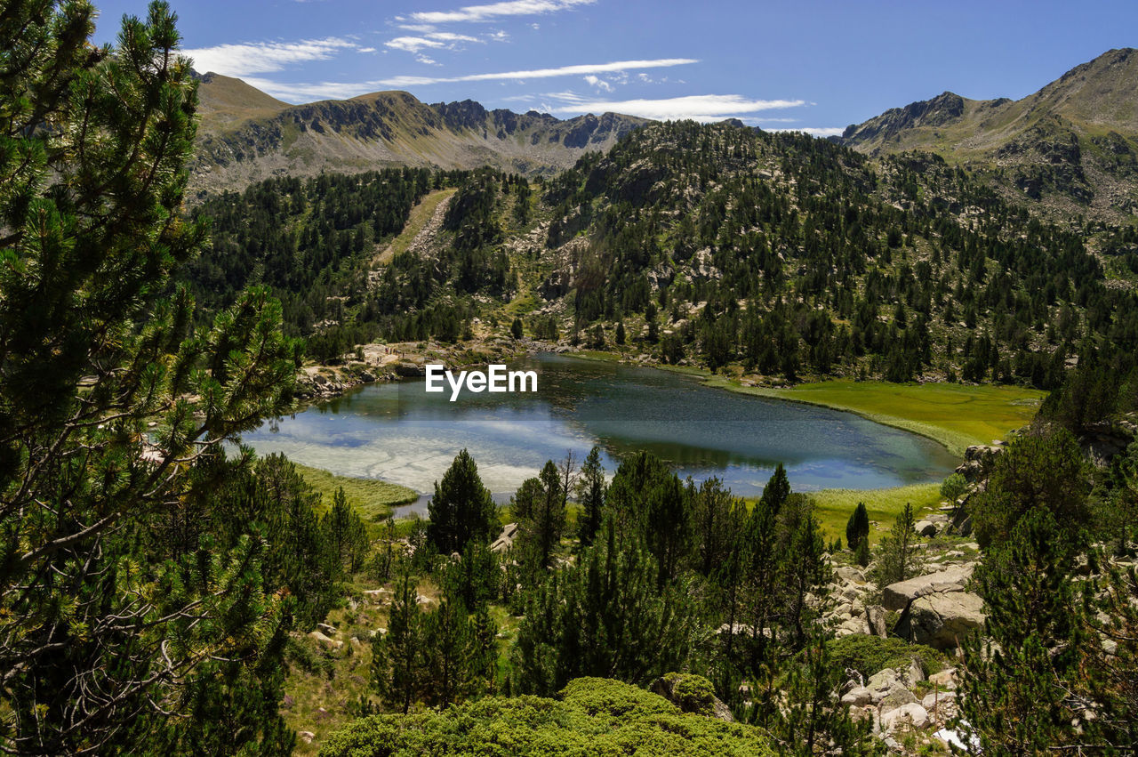 Scenic view of lake in forest against sky