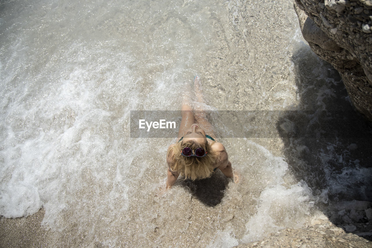 High angle view of dog swimming in sea