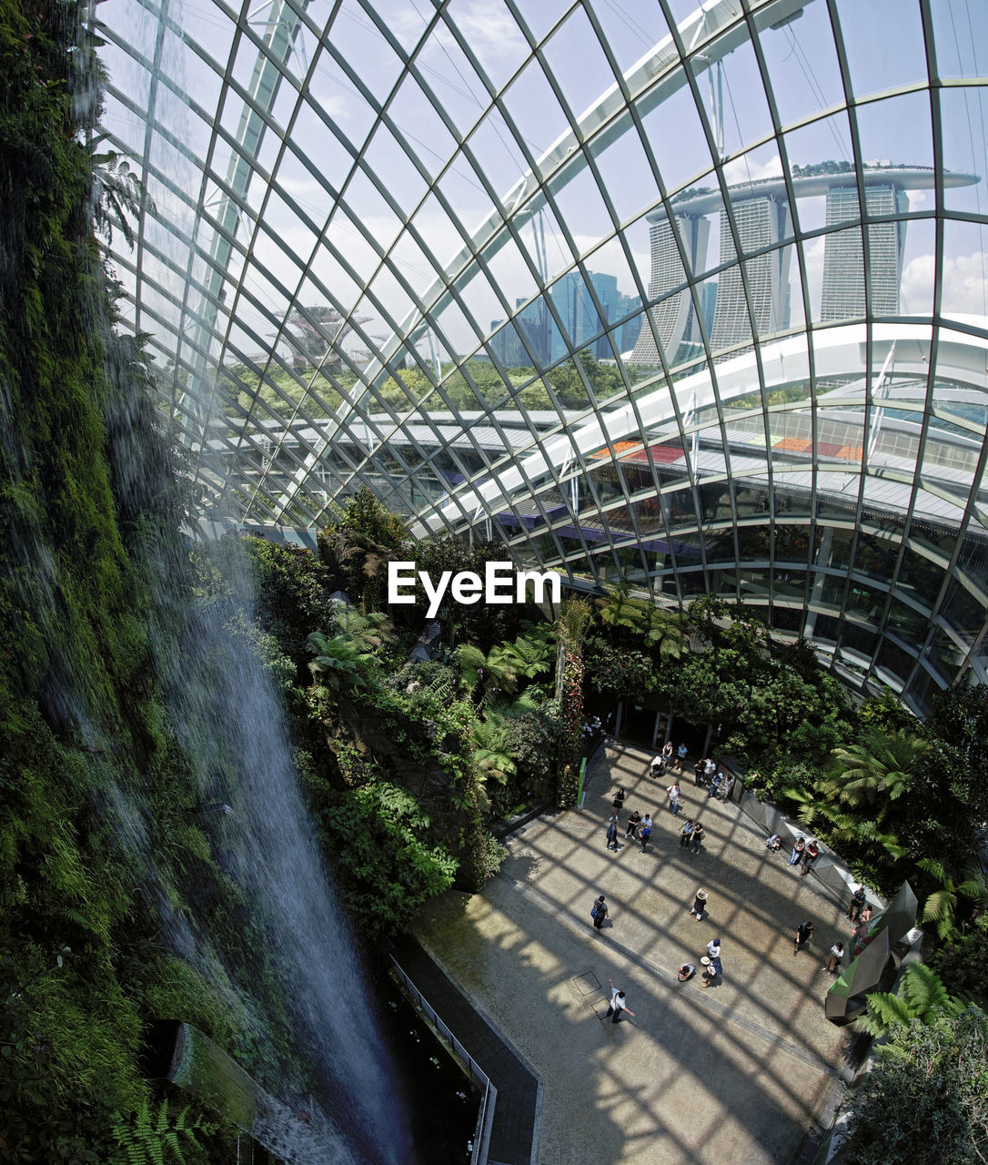 HIGH ANGLE VIEW OF TREES SEEN THROUGH GREENHOUSE