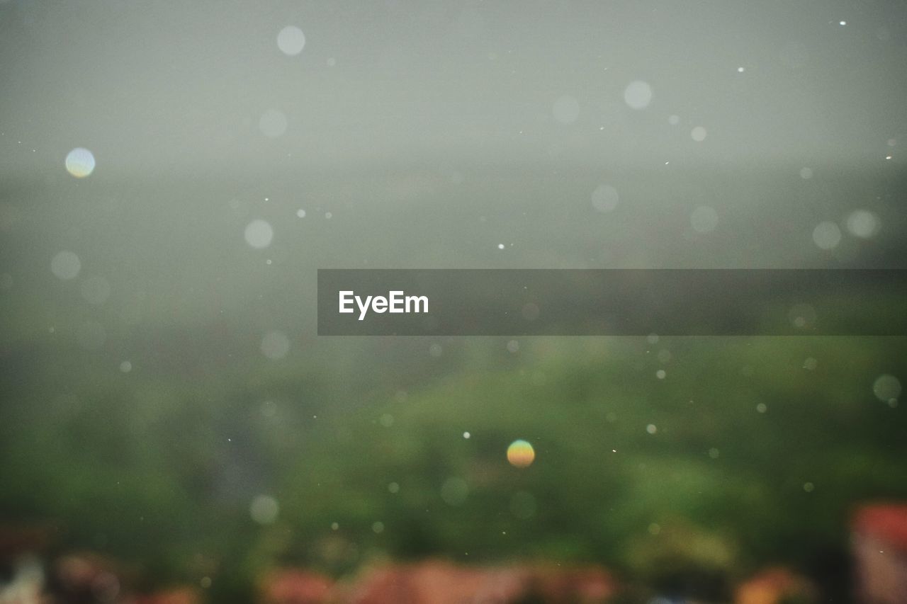 CLOSE-UP OF WATER DROPS ON DEFOCUSED