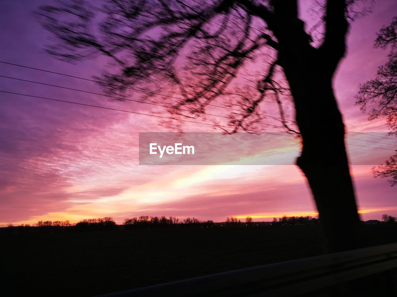 SILHOUETTE TREES ON LANDSCAPE AGAINST ROMANTIC SKY AT SUNSET