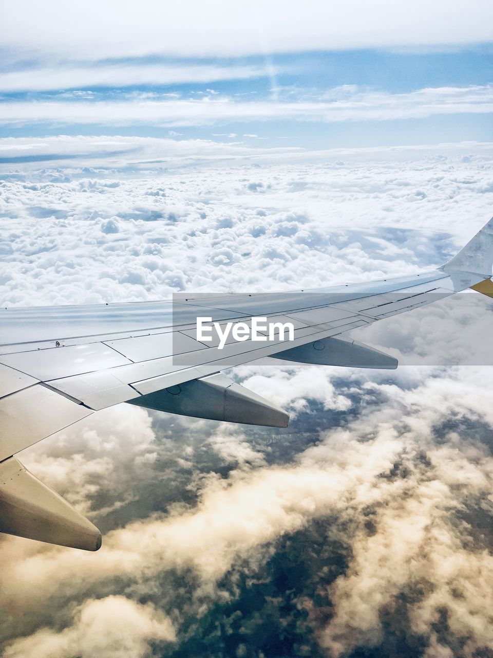 Cropped image of airplane wing