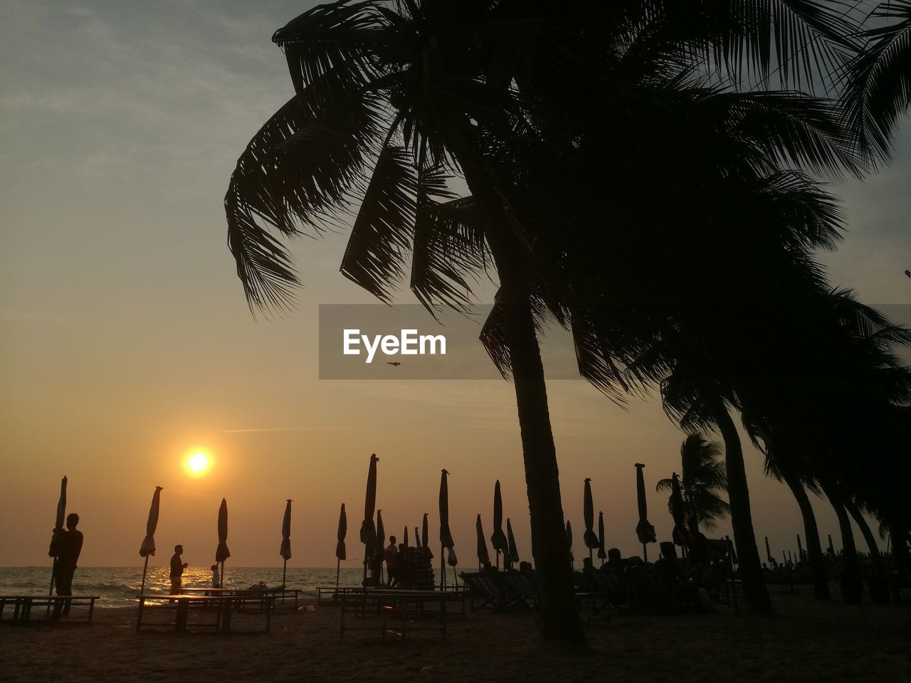 PALM TREES ON BEACH AGAINST SKY