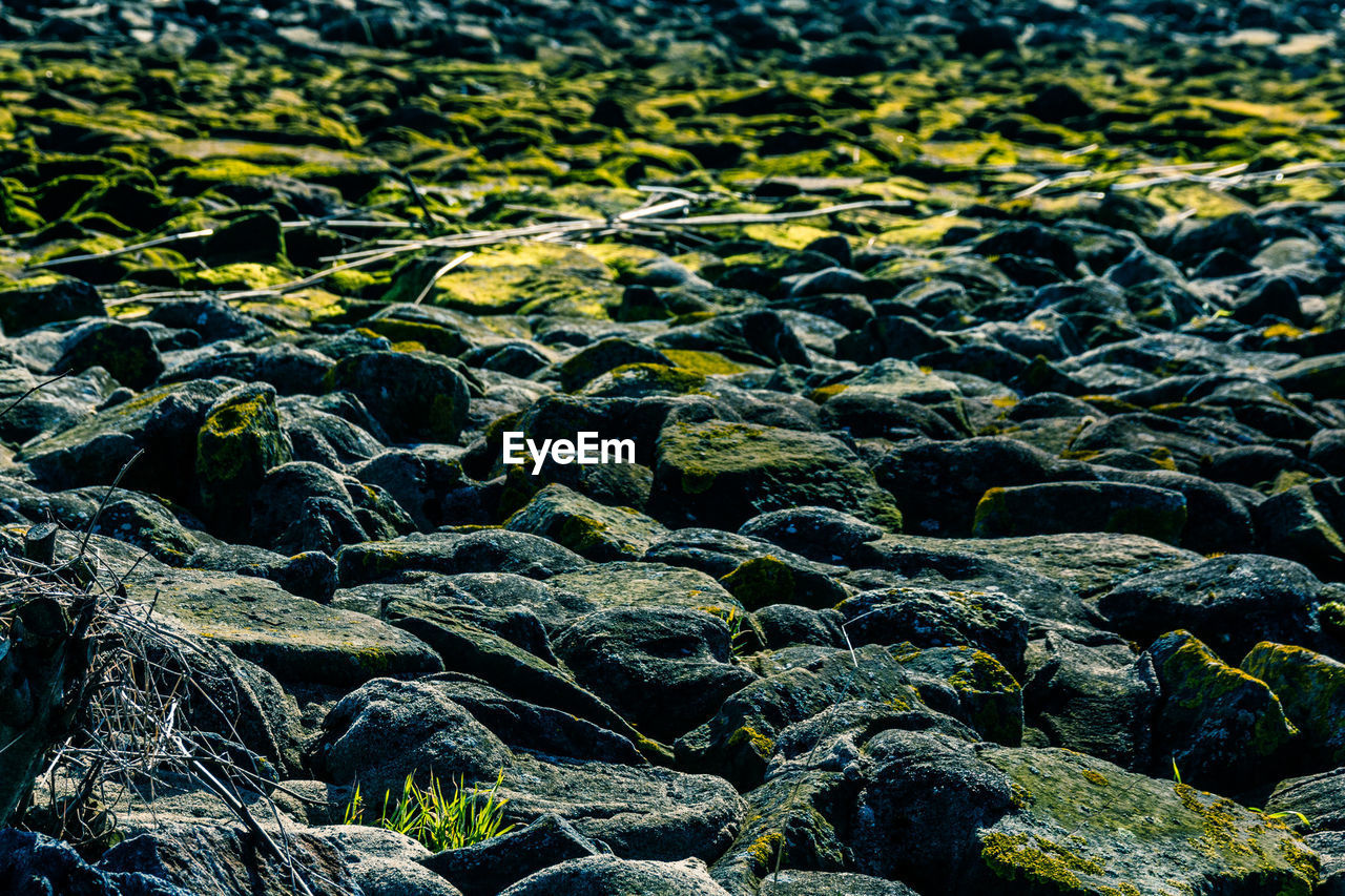 Shot of rocks near the river