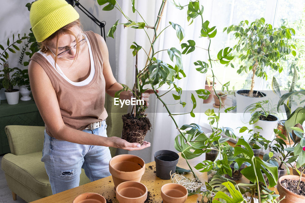 Woman is taking care of a mini monstera at home. urban jungle, gardening concept. biophilic design