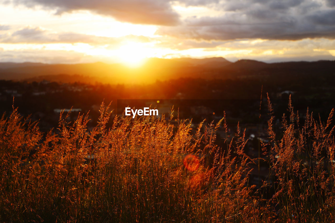 Sunset from top of the mountain 