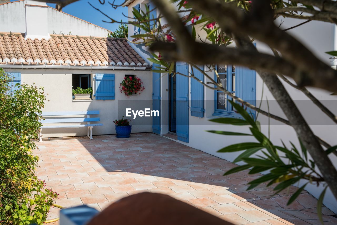 POTTED PLANTS OUTSIDE HOUSE