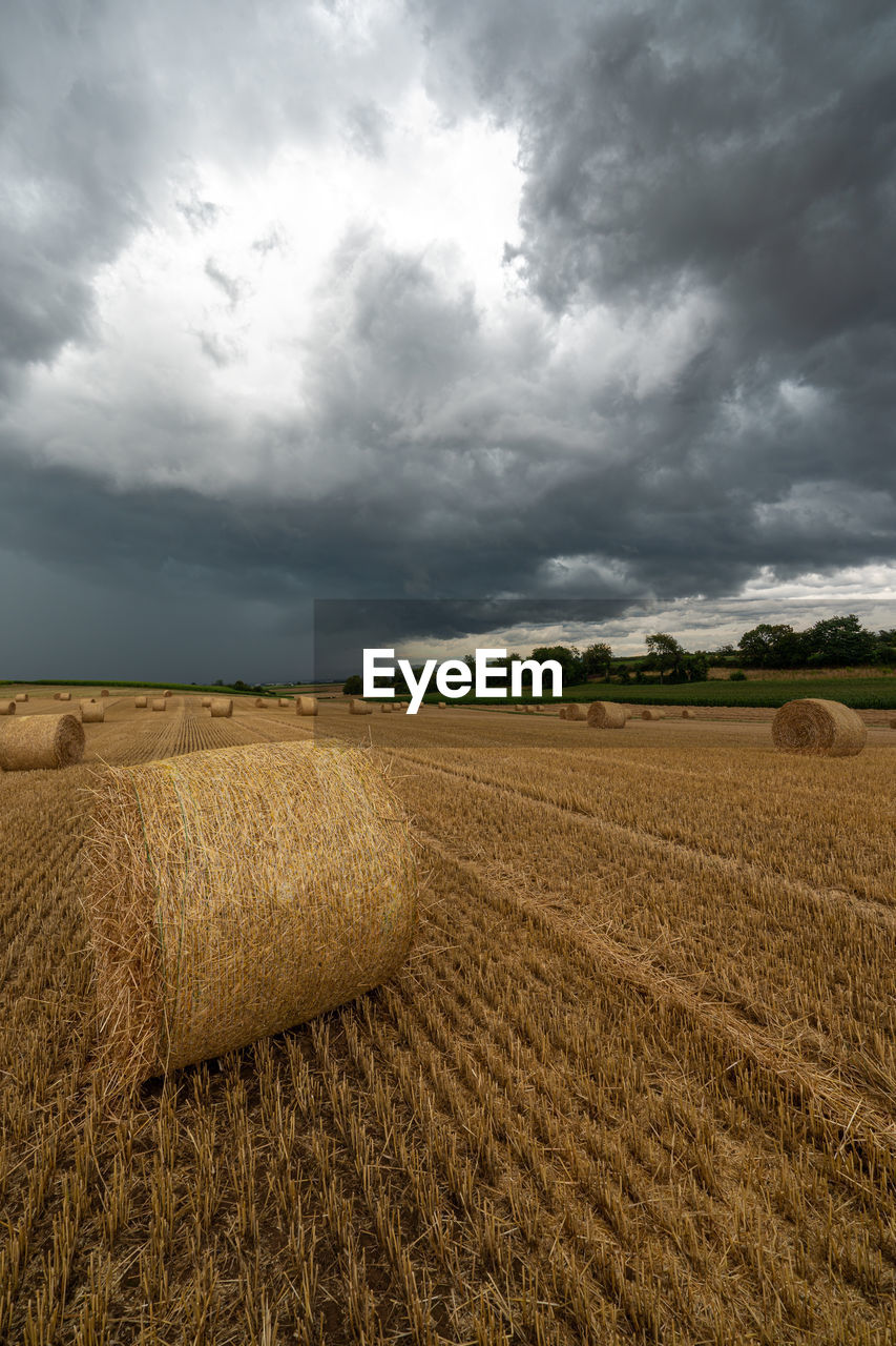 SCENIC VIEW OF FARM AGAINST SKY