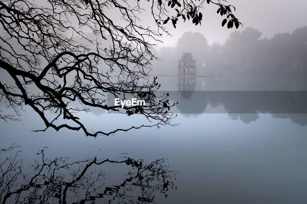 VIEW OF TREE BY LAKE AGAINST SKY