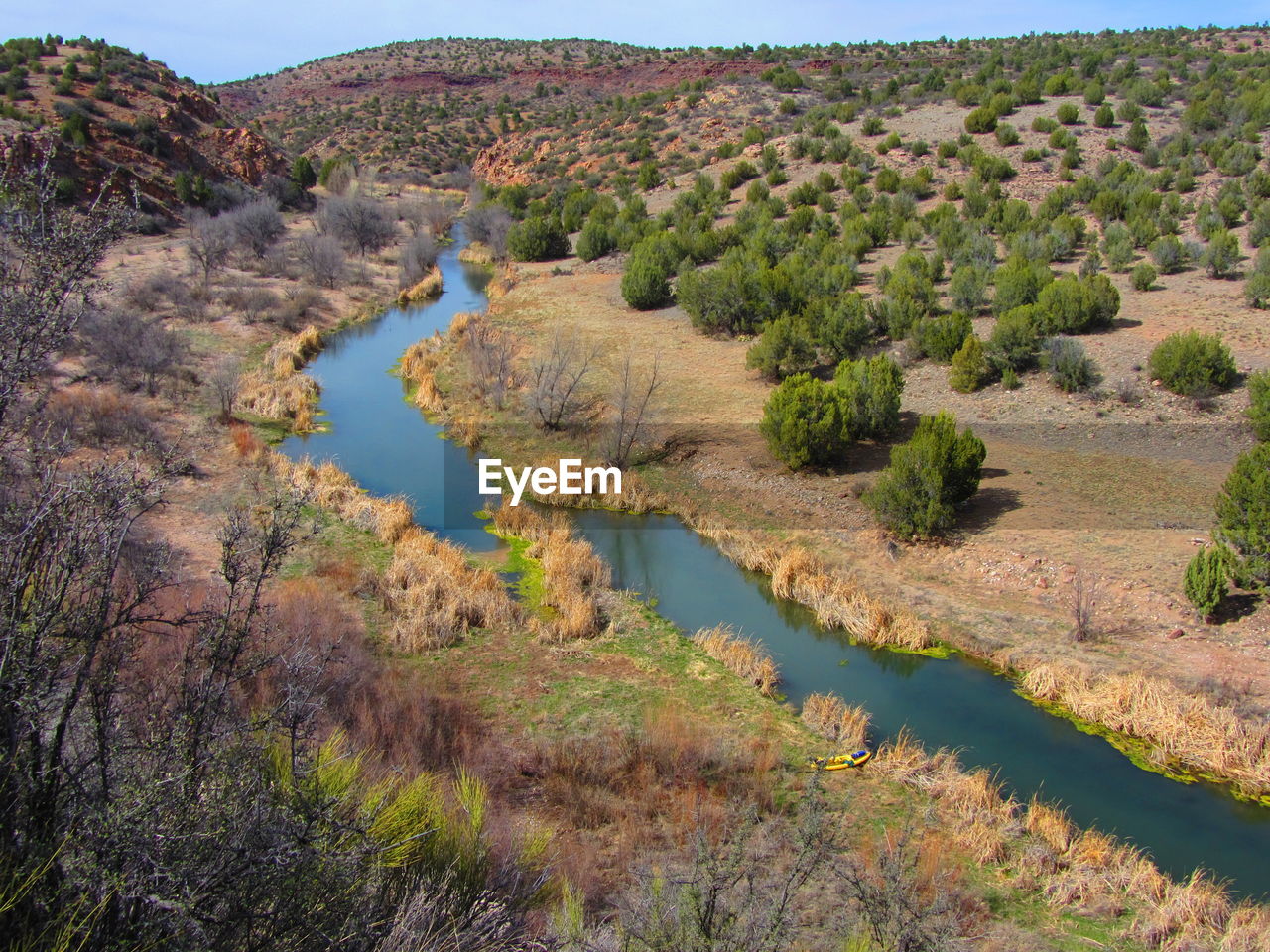 SCENIC VIEW OF TREE MOUNTAINS