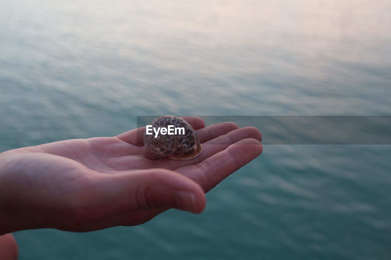 CLOSE-UP OF PERSON HOLDING SHELL OVER SEA