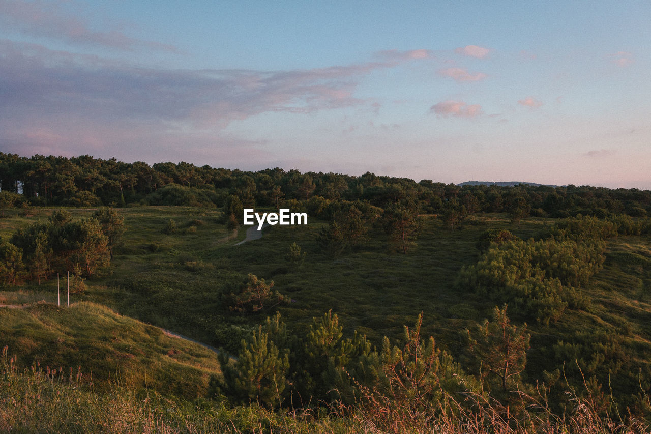 SCENIC VIEW OF LAND AGAINST SKY