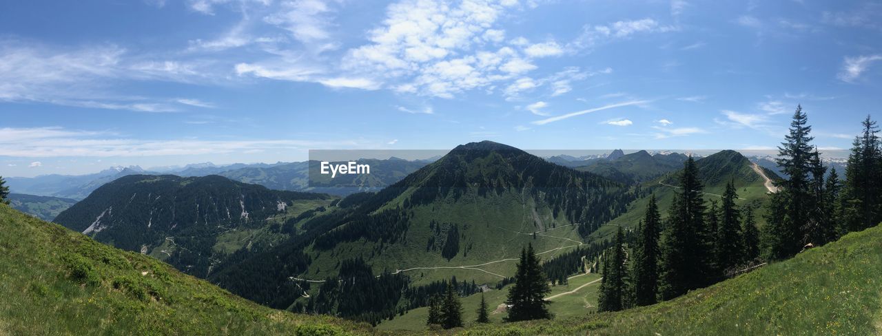 Panoramic shot of trees and mountains against sky