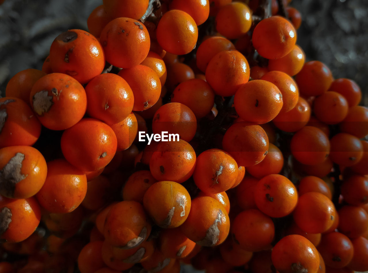 Close-up of berries in market