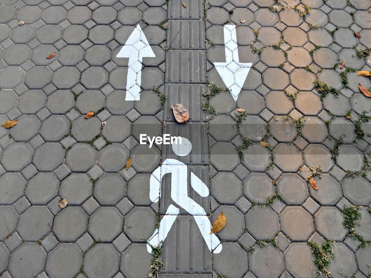 High angle view of markings on road